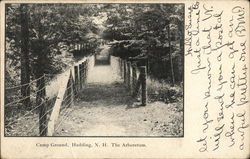 Camp Ground Hedding, NH Postcard Postcard Postcard