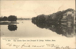 The CHarles River from Prospect Bridge Postcard