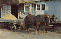 Amish Horses And Wagon Postcard