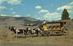 Twenty-Six Passenger Stagecoach Yellowstone National Park, WY Postcard Postcard