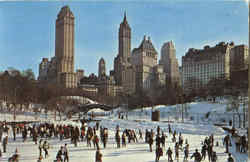 Winter In Central Park New York City, NY Postcard Postcard