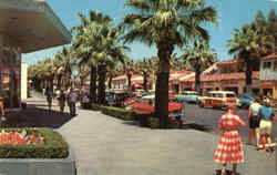 Palm Canyon Drive Postcard