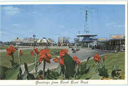 Greetings From Beech Bend Park Go Carts Bowling Green, KY Postcard Postcard