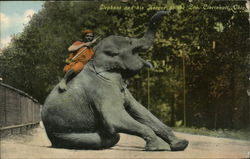 Elephant and his Keeper at the Zoo Cincinnati, OH Postcard Postcard Postcard