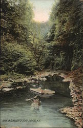 View in Pumpelly's Glen Postcard