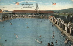 New Natatorium or Swimming Pond Postcard