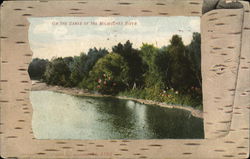 On the Banks of the Milwaukee River Wisconsin Postcard Postcard Postcard