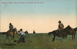 Roping a Long Horn Steer, 101 Ranch Old Bliss, OK Postcard Postcard Postcard