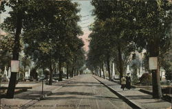 Magnolia Avenue and Entrance to City Cemetery Postcard