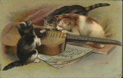 Kittens Playing with Guitar Postcard