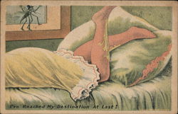 Mosquito Eyeing Woman's Leg Postcard