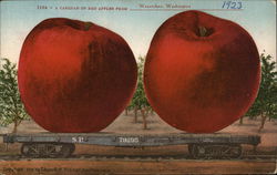 A Carload of Red Apples from Wenetchee, Washington Postcard