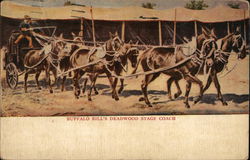 Buffalo Bill's Deadwood Stage Coach Cowboy Western Postcard Postcard Postcard