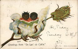 Patsy & Jim Crow in the Land of Cotton Black Americana Postcard Postcard Postcard