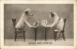 Come and Join Us - Dog and Cat Playing Cards Postcard