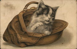 Kitten in a Purse Postcard