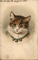 Cat with Green Collar Postcard