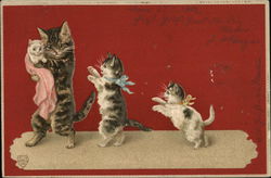 Playful Kittens Postcard