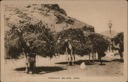 Firewood Sellers Postcard