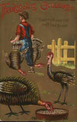 Thanksgiving Greetings Postcard