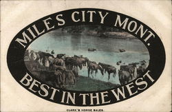 Miles City, Mont. Best in the West Montana Horses Postcard Postcard Postcard