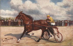 Horse Racing Postcard Postcard Postcard