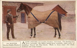 5A Horse Blankets Postcard