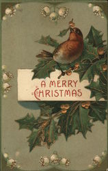 Bird Perched on a Holly Twig Postcard