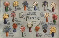 The Language of Flowers Postcard