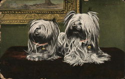 A PAIR OF WHITE DOGS POSED IN FRONT OF A PAINTING. Postcard Postcard Postcard