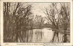 Pequannock River at River Crest Pompton Plains, NJ Postcard Postcard Postcard