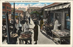 Scene Fisherman's Wharf San Francisco, CA Postcard Postcard Postcard