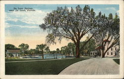 De Leon Springs DeLand, FL Postcard Postcard Postcard