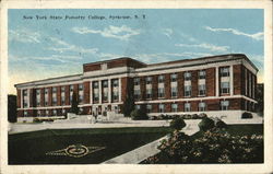 New York State Forestry College Postcard