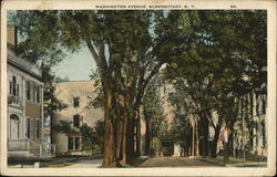 Washington Avenue Postcard