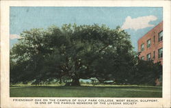 Gulf Park College - Friendship Oak Gulfport, MS Postcard Postcard Postcard