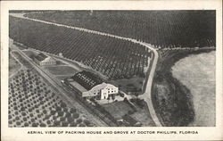 Aerial View of Packing House and Grove Doctor Phillips, FL Postcard Postcard Postcard