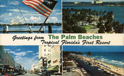 Greetings From The Palm Beaches Florida Postcard Postcard Postcard