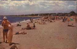 A Sunny Day on the Sands of Cape Cod Postcard