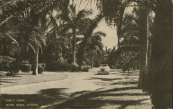 Street Scene Postcard