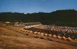 Hill View of Conference Grounds Santa Cruz, CA Postcard Postcard Postcard