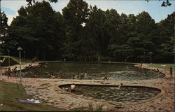 Franklin D. Roosevelt Park - Swimming Pool Pine Mountain, GA Postcard Postcard Postcard