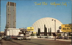 Sunset Boulevard Postcard