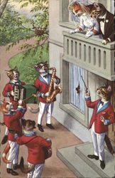 Cats Serenading the Newlyweds Dressed Animals Postcard Postcard Postcard