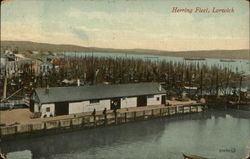 View of Herring Fleet Postcard