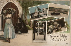 Greetings from Algeria Africa Postcard Postcard Postcard