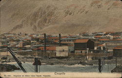 View of Town and Shore Postcard