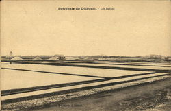 Les Salines Postcard