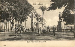 Kasr el Nil Towards Ghezireh Cairo, Egypt Africa Postcard Postcard Postcard