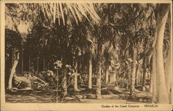 Garden of the Canal Company Ismailia, Egypt Africa Postcard Postcard Postcard